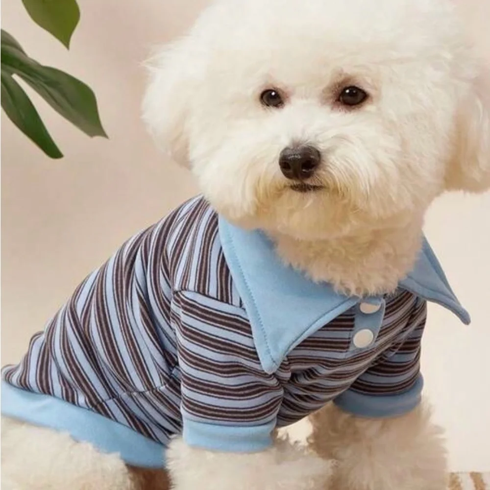 Striped Blue and Brown Dog Shirt